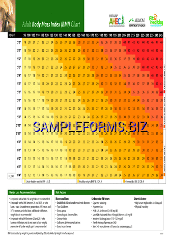 Adult Body Mass Index (BMI) Chart pdf free